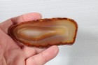 Polished Rainbow Brazil Agate display 3 pc slab lot Pr8 — photo 4