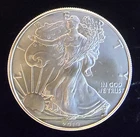 2019 American Eagle Ungraded Walking Liberty Bullion-0.999 Silver 1 Oz Coin 4o
