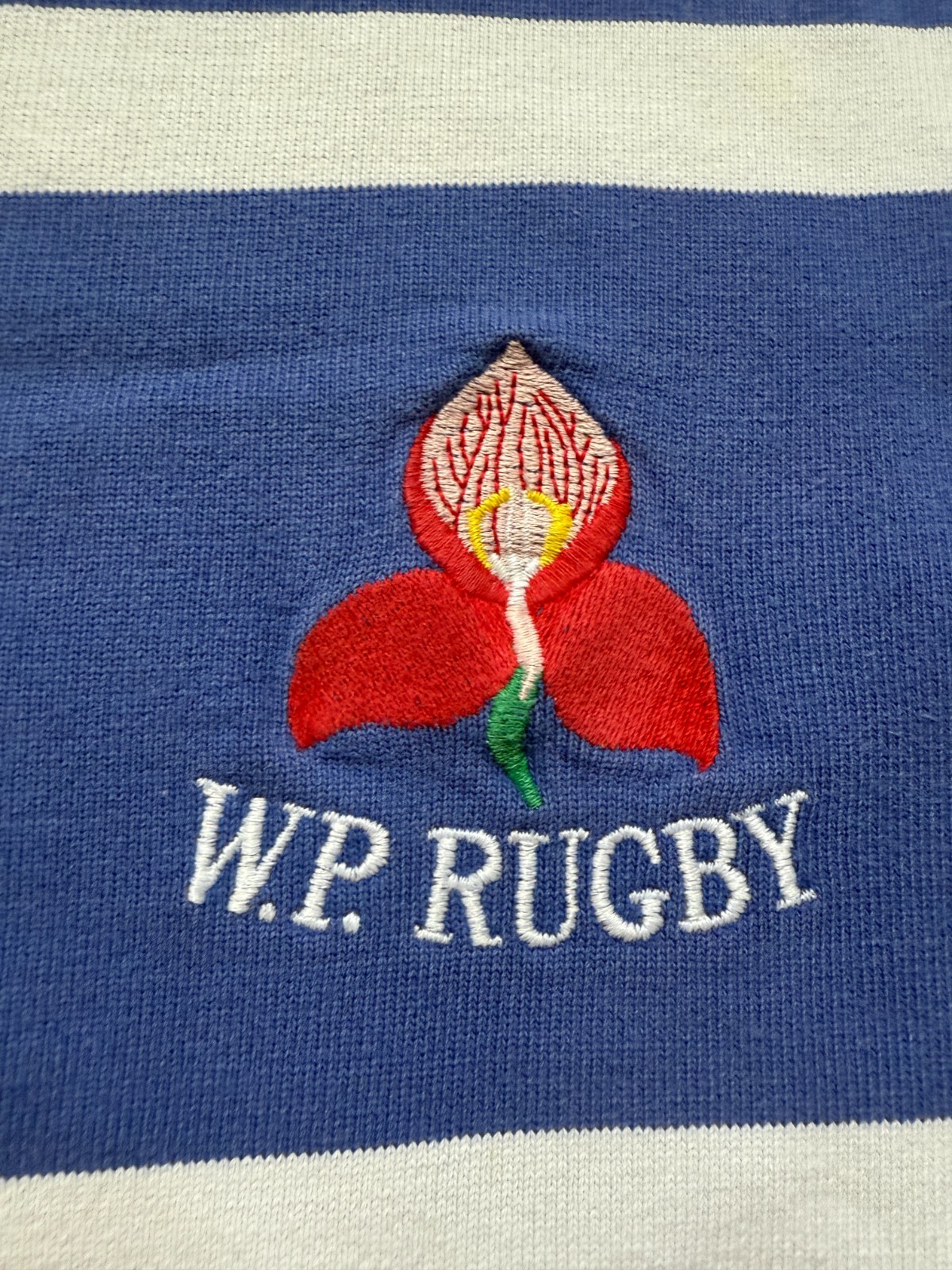 Retro Western Province Rugby 90's Jersey Polo Shirt Vintage Adidas Size 42 Rare image 4