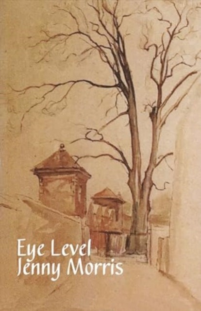 Eye Level by Jenny Morris (Paperback Book)