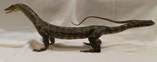 REAL MONITOR LIZARD TAXIDERMY - 5" Tall & 31" LONG - REPTILE phillipines bangon
