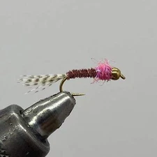 One Dozen (12) - Tungsten Beadhead Sparkle Frenchie - Pink - Nymph