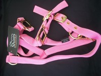 Head Collar - Nylon - Full - Pink By Shires Head Collar - Nylon - Full - Pink By Shires