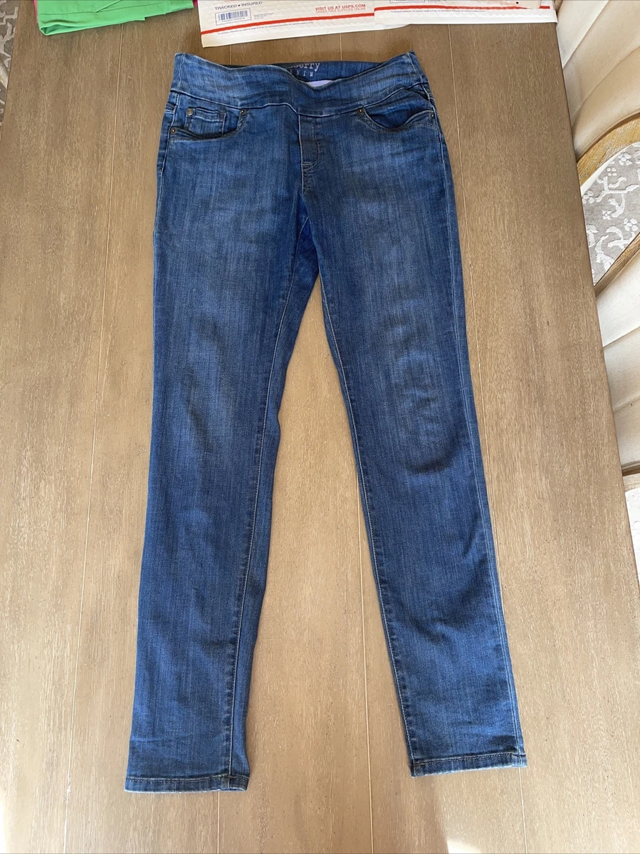 Bluberry denim hotsell pull on jeans