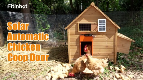 Fitinhot Upgraded Solar Auto Chicken Coop Shutter Door Programmable Remote Timer - Video 1 of 1