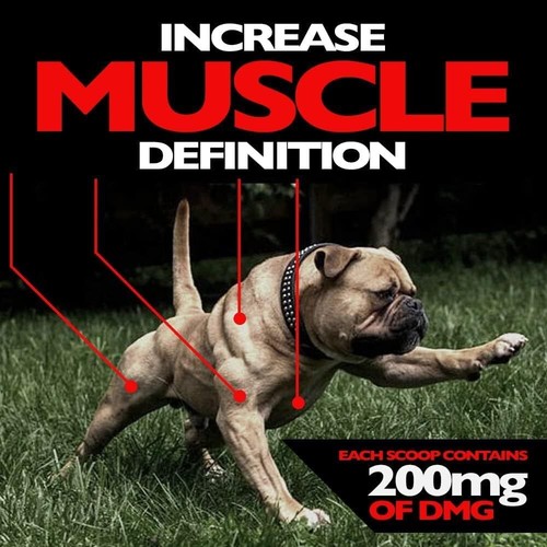 Constructor muscular para perros clínicamente probado ingrediente de construcción muscular 60 masticables - Imagen 5 de 6