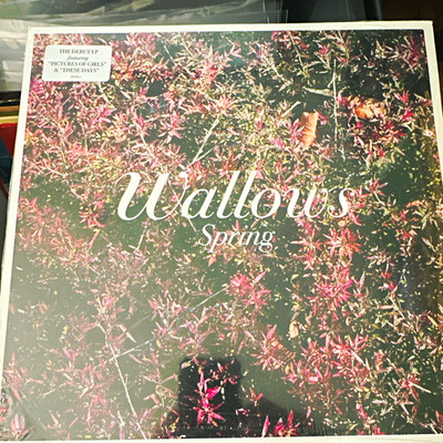 Wallows Spring EP Vinyl Record Rock Atlantic 1980s Style Produced John Congleton