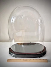 Antique Victorian Oval Hand Blown Glass Globe Dome, Doll, Clock,Approx.~16x12x7