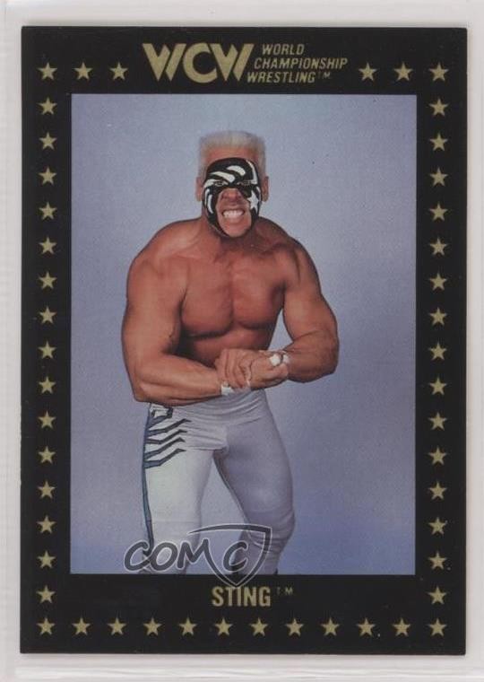 1991 Championship Marketing WCW Sting #49 0z3d