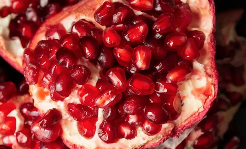 Pomegranate Punica granatum plant easy grow fruit tree nutritious fruit