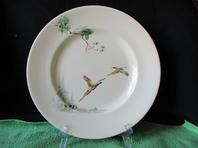 Royal Doulton. The Coppice. Entree Plate. (22cm). D5803. Made In England.
