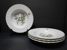 Set of 4 MIKASA BOTONY 8" Rim Soup Bowls (B021)