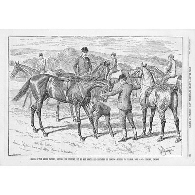 ELLIMANS EMBROCATION After The Galopp by Sturgess Victorian Advertisement 1888