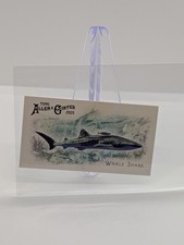 2025 Topps Allen & Ginter #FGW-37 Whale Shark Mini 50 Fish from Global Waters