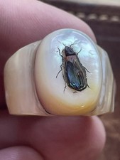 Mother of Pearl Ladies Shibayama Ring Stunning Piece Size K 1/2