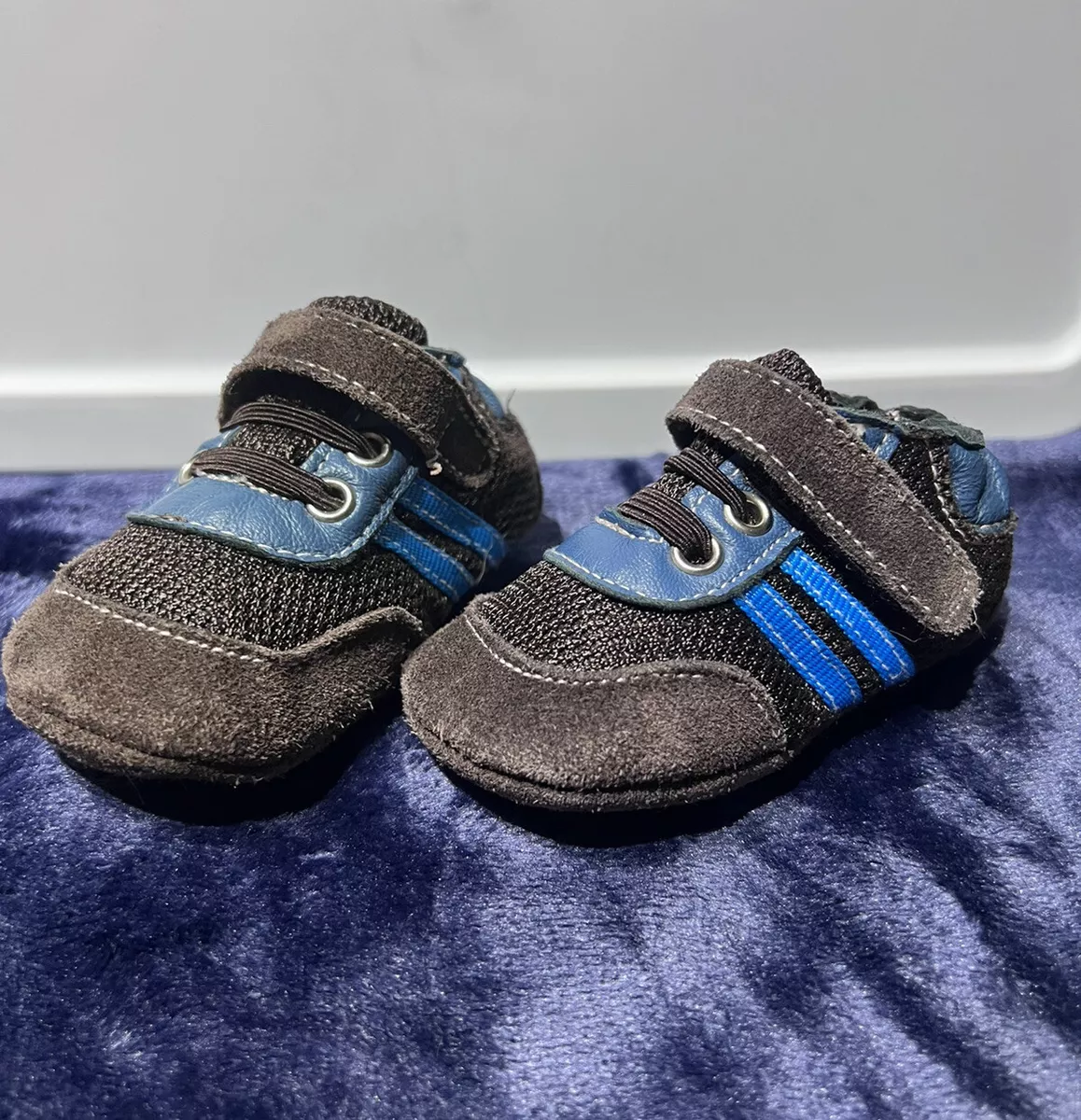 Koala Baby shoes size 0 6 months Genuine Leather Casual stretch ankle strap
