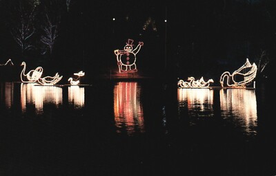 Postcard WV Wheeling Willard & The Swans Oglebay Lights Schenk Vintage PC G5660