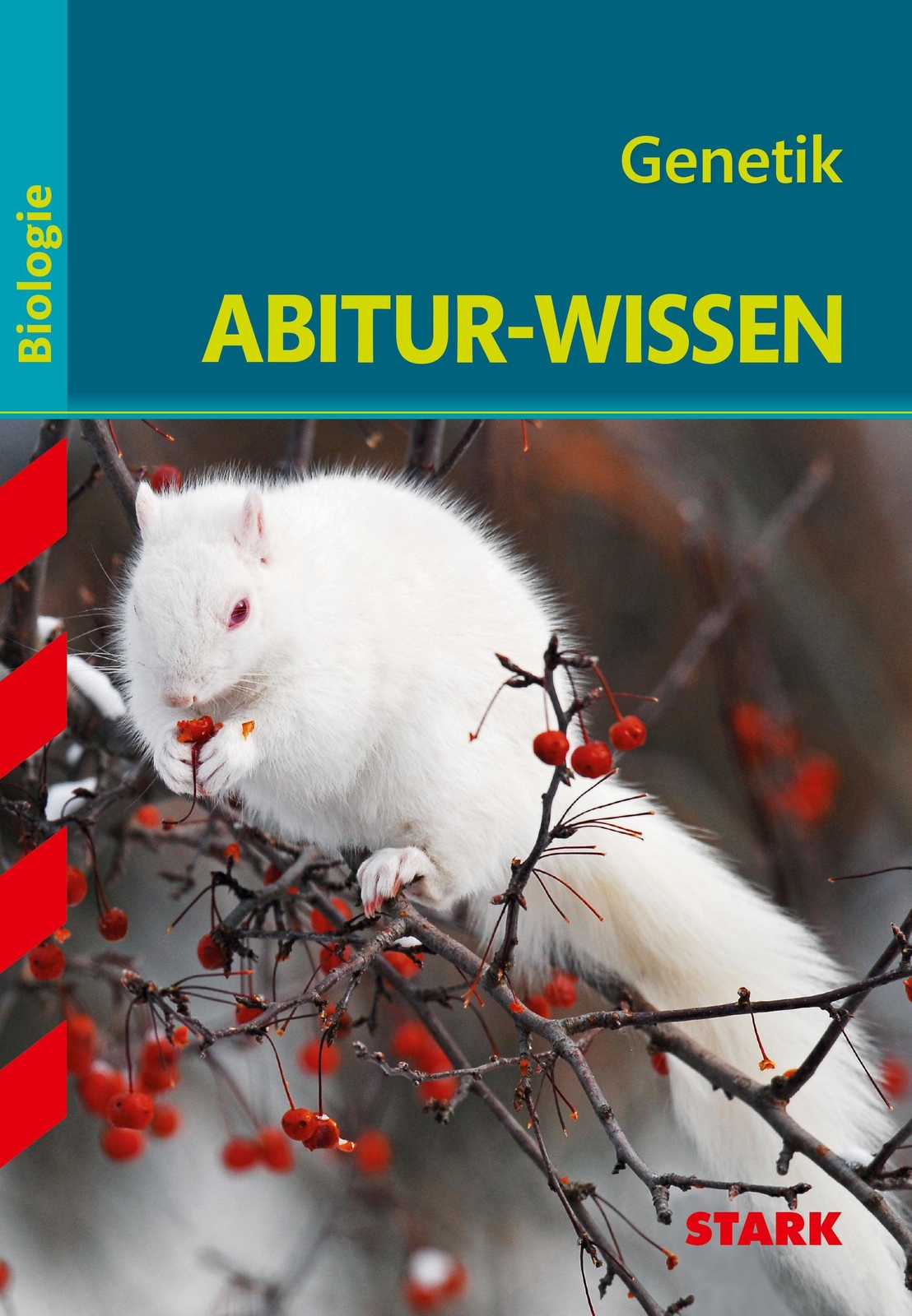 Thumbnail - Abitur-wissen - Biologie - Genetik Albert Kollmann Taschenbuch