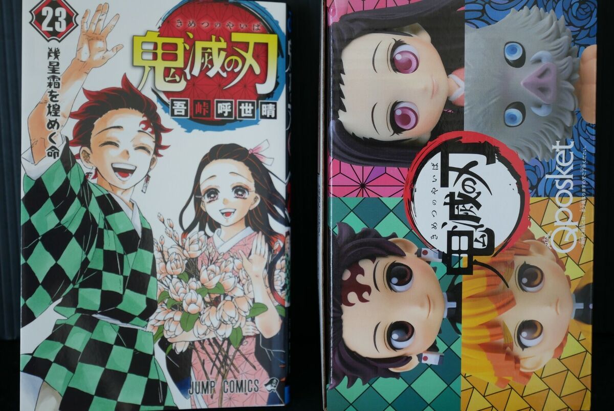 Demon Slayer: Kimetsu no Yaiba Vol. 23 Special Package Edition with