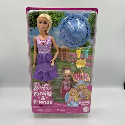 Barbie Malibu & Club Chelsea - Barbie Family and Friends Puppe Doppelpack 