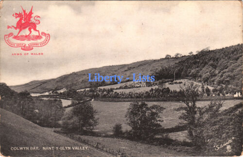 Colwyn Bay Nant-Y-Glyn Valley Wales Tuck's Postcard 1908 D56 - Afbeelding 1 van 4