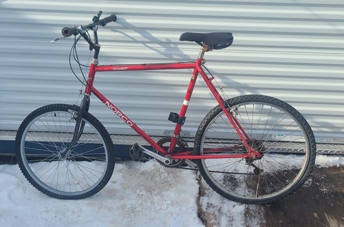 Norco Mountaineer Series Bike Complete Needs tires and new seat.