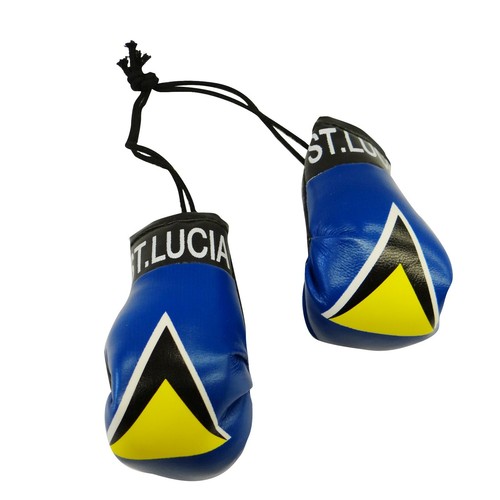 High Quality Country Flag MINI BOXING GLOVES - Rear View Mirror Gloves - New - Picture 106 of 134
