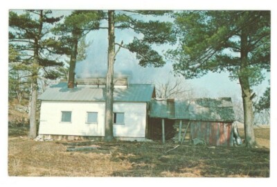 Elm Hill Farm Sugarhouse Colchester Vermont Unused Vintage Postcard LS22