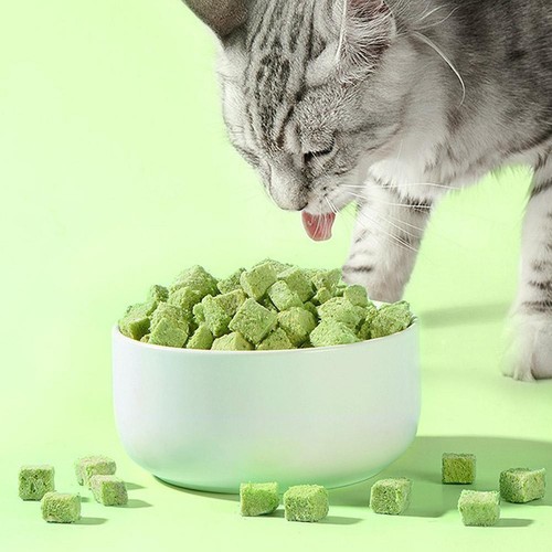 Cat Grass Teeth Grinding Granules Pet Snacks Hairball Cleaning Removal I5Z1 N5H6 - Picture 12 of 12