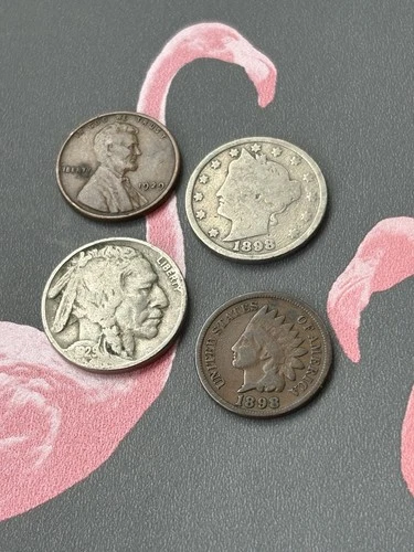 US Coin Lot! Indian Head Cent, Wheat Penny, Liberty V & Buffalo Nickel ~Free S&H