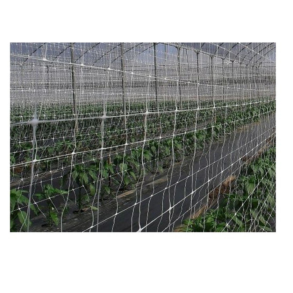 Rete Da Giardino Per Pomodori, Fagiolini E Piselli – Supporto Ideale - Foto 7