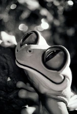 Kodak 5222 35mm Film ~36exp DoubleXX