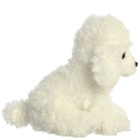 Bild 79 von 90