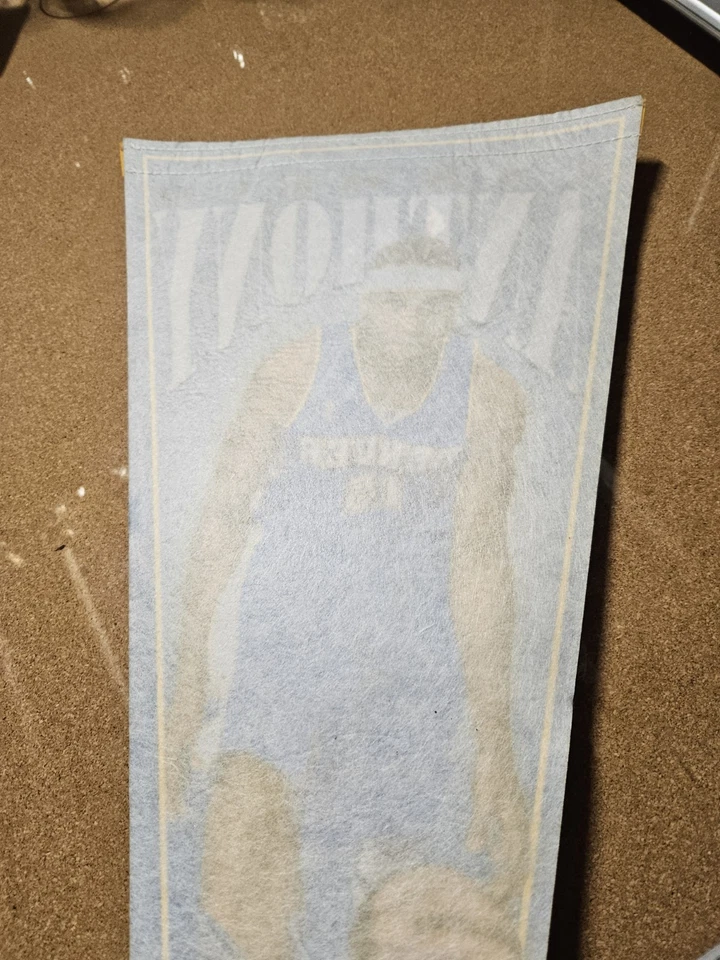 2003/04 Carmelo Anthony NBA Rookie RC WinCraft Sports 13” x 32” banderín - Foto 3 de 4