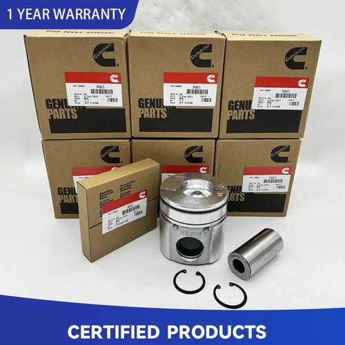 6X Pistons Rings Kit For Dodge Cummins 6BT 5.9L 12V 94-98 3928673 Standard STD