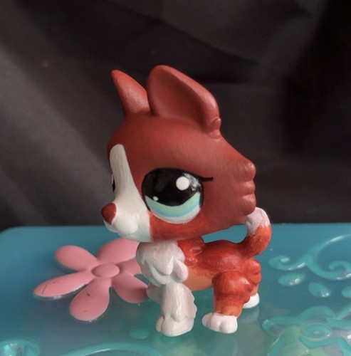 Lps Littlest pet shop custom husky 1542 inspired - Bild 3 von 5