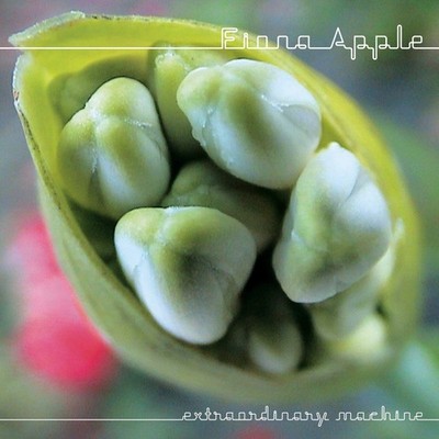 Apple Extraordinary Machine Cd Brand New
