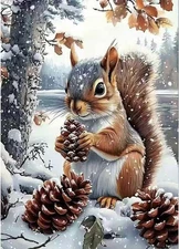 Winter Squirrel Diamond Art Kits for Adults,5D Diamond Painting Kits for Beginne