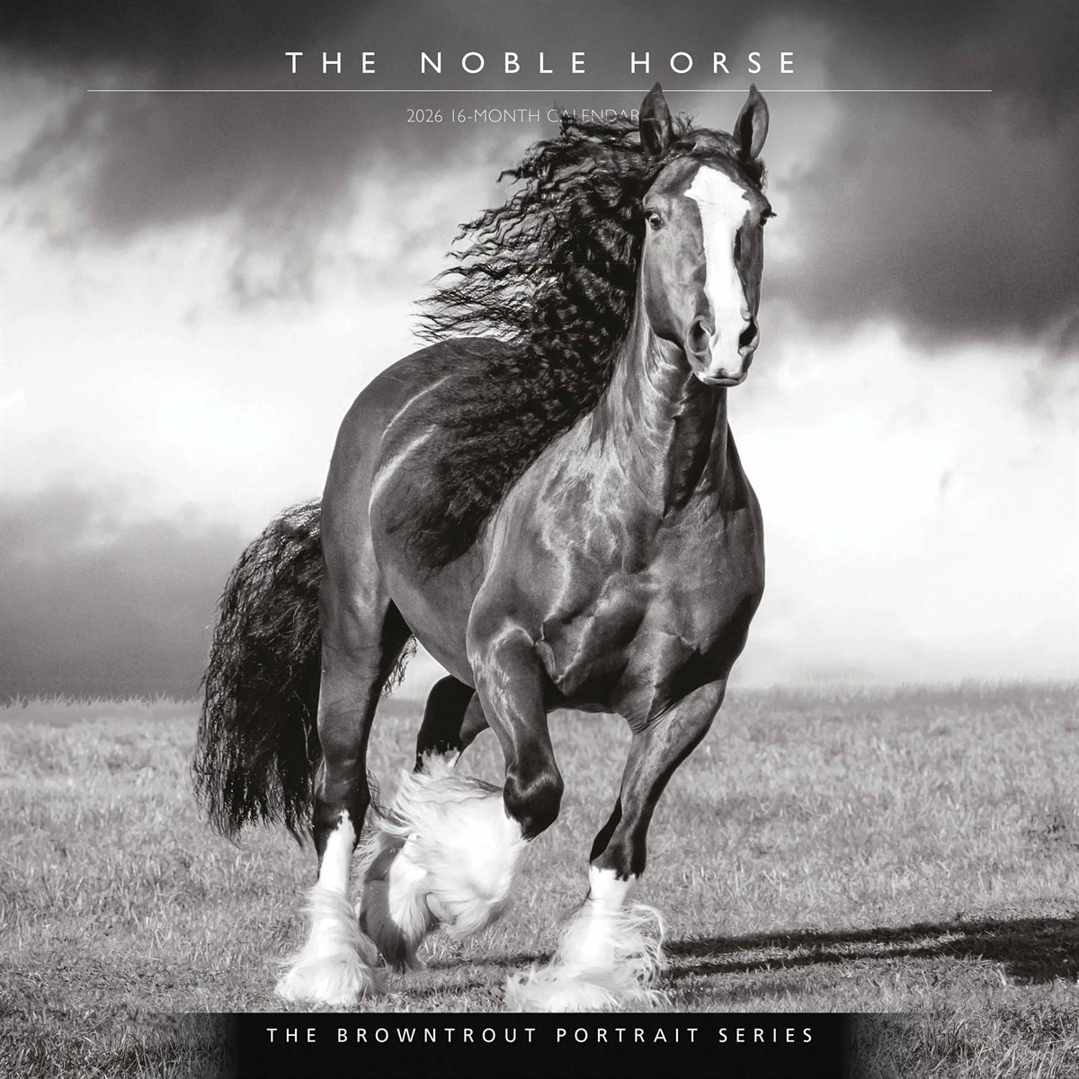 The Noble Horse, Black and White Calendar 2026, Wall Calendars, Gift