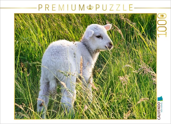 Calvendo Puzzle Cute Little Sheep | 1000 Pieces, Finished Size 25.2 × 18.9 In (6-image