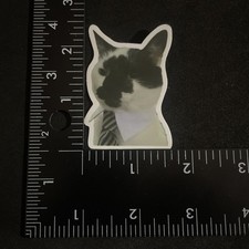 Sticker  Number 3862  Individual Stickers  Fast Shipping 