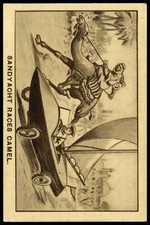 Amalgamated Press - 'Sports Queeriosities' (1933) - Sandyacht Races Camel