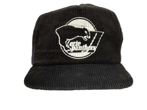 Chapeau vintage Erie Panthers nouvelle ère en velours cordon casquette noire fabriquée aux États-Unis - Photo 1 sur 9