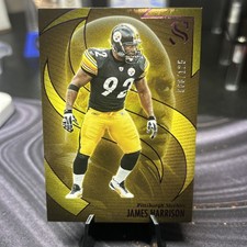 JAMES HARRISON Serial #'d Steelers 2025 Panini Silhouette PURPLE /125