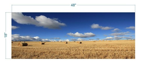 Hay Wheat Field Polyester Fish Tank Glass Back Drop Aquarium Background New - Picture 5 of 6