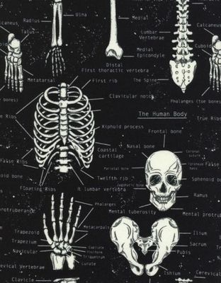 Timeless Treasures Glow in the Dark Skeleton Cotton Fabric Print by Yard D569.18