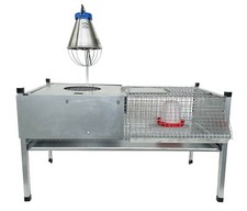 PULCINAIA REAL GABBIA PER PULCINI POLLI  | BOROTTO | DOPO L'INCUBATRICE 🐓🥚🐣