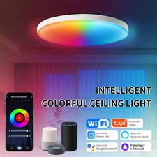Tuya Smart WiFi LED Ceiling Light APP Control Voice Switch for Home Bathroom