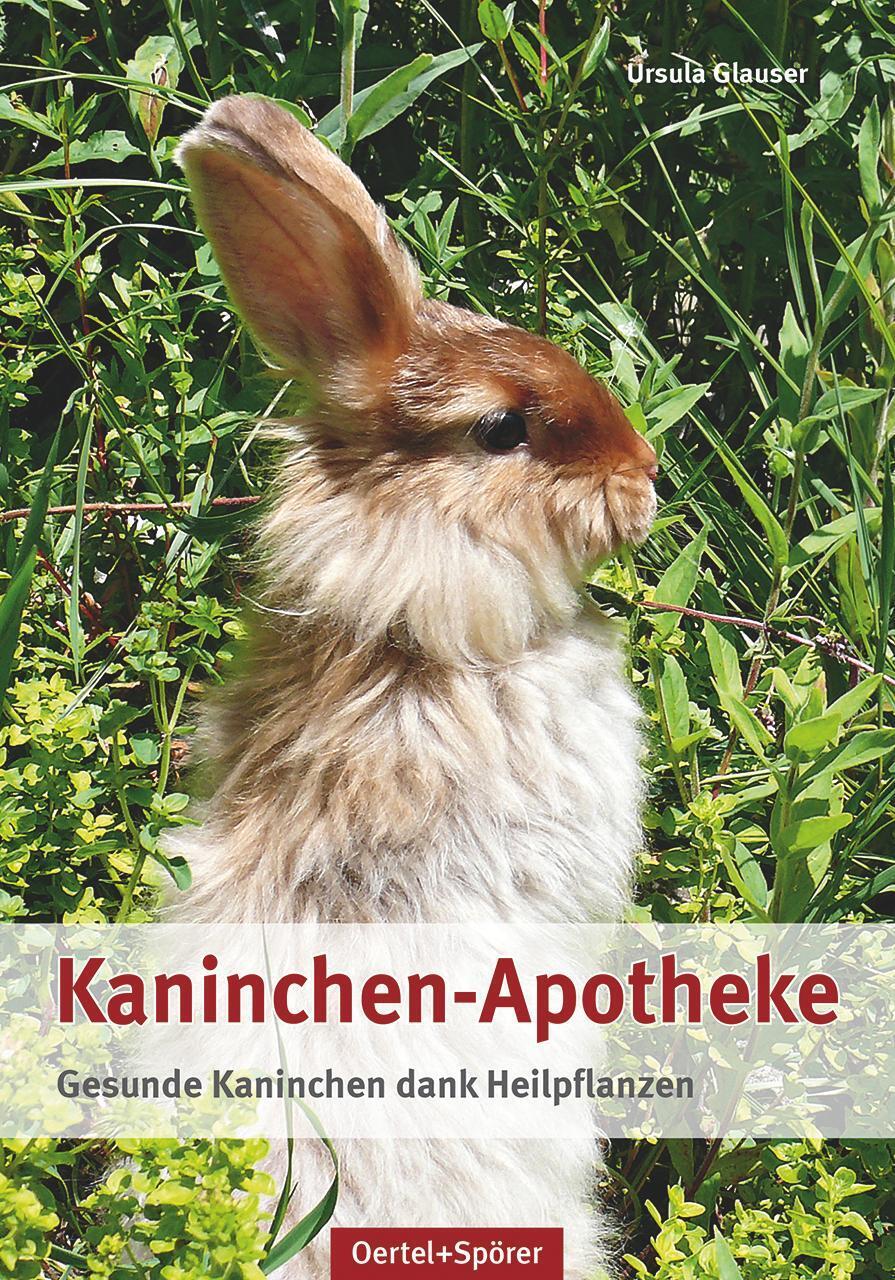 Thumbnail - Kaninchen-apotheke Gesunde Kaninchen Dank Heilpflanzen Ursula Glauser