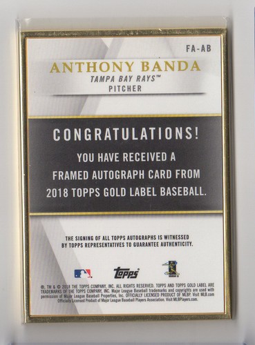 SCEGLI TU - AUTOGRAFO CERTIFICATO TAMPA BAY RAYS AUTO SERIALE GU STAR HOF RC 712 - Foto 3 di 75